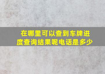 在哪里可以查到车牌进度查询结果呢电话是多少