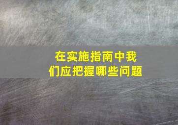 在实施指南中我们应把握哪些问题