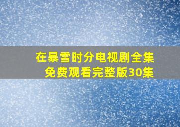 在暴雪时分电视剧全集免费观看完整版30集