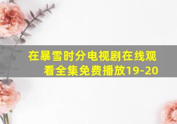 在暴雪时分电视剧在线观看全集免费播放19-20