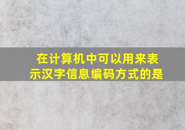 在计算机中可以用来表示汉字信息编码方式的是