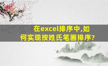 在excel排序中,如何实现按姓氏笔画排序?