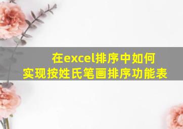 在excel排序中如何实现按姓氏笔画排序功能表