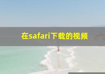 在safari下载的视频