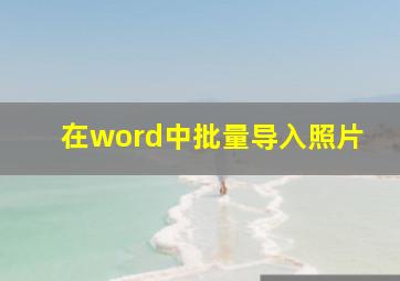 在word中批量导入照片