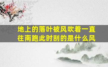 地上的落叶被风吹着一直往南跑此时刮的是什么风