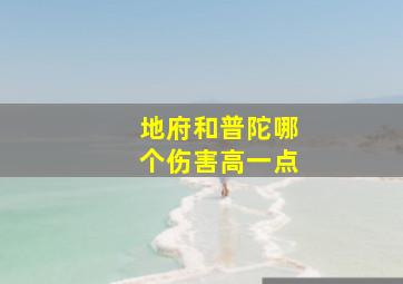 地府和普陀哪个伤害高一点