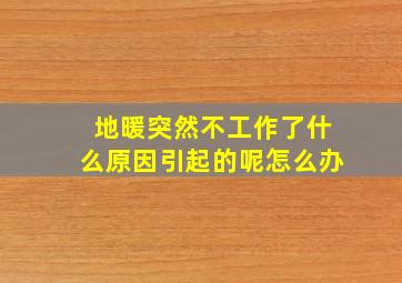 地暖突然不工作了什么原因引起的呢怎么办