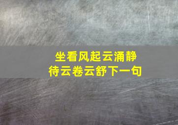 坐看风起云涌静待云卷云舒下一句