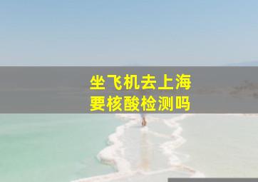 坐飞机去上海要核酸检测吗