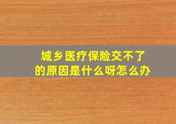 城乡医疗保险交不了的原因是什么呀怎么办