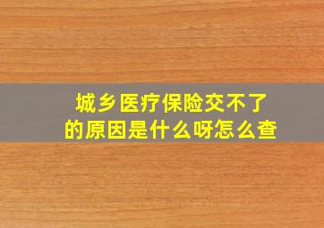 城乡医疗保险交不了的原因是什么呀怎么查