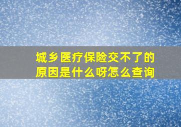 城乡医疗保险交不了的原因是什么呀怎么查询