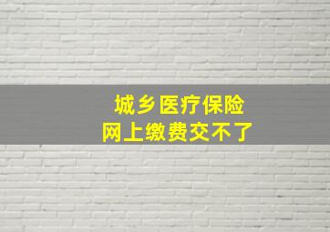 城乡医疗保险网上缴费交不了