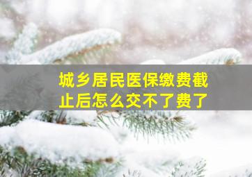 城乡居民医保缴费截止后怎么交不了费了