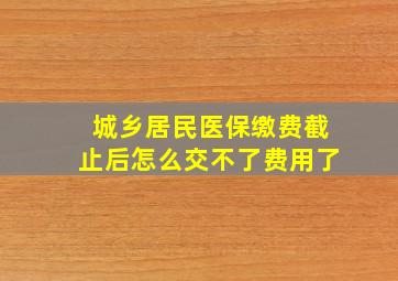 城乡居民医保缴费截止后怎么交不了费用了