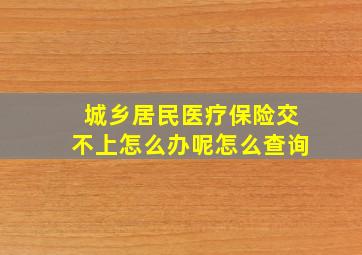 城乡居民医疗保险交不上怎么办呢怎么查询