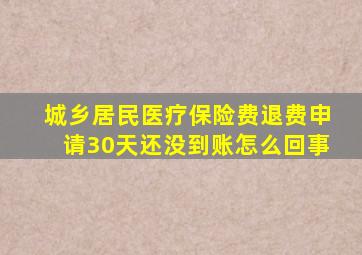 城乡居民医疗保险费退费申请30天还没到账怎么回事