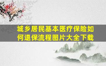 城乡居民基本医疗保险如何退保流程图片大全下载