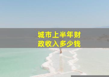 城市上半年财政收入多少钱