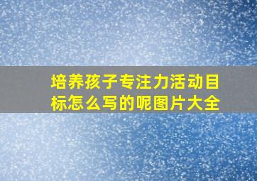 培养孩子专注力活动目标怎么写的呢图片大全