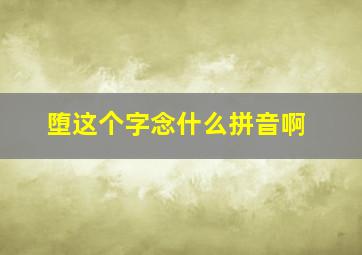 堕这个字念什么拼音啊