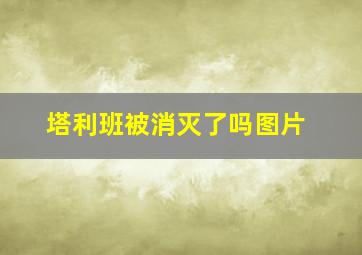 塔利班被消灭了吗图片