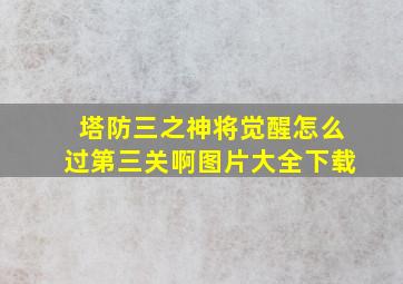 塔防三之神将觉醒怎么过第三关啊图片大全下载