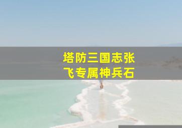 塔防三国志张飞专属神兵石