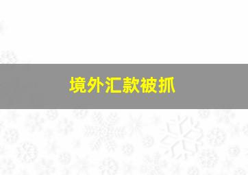 境外汇款被抓