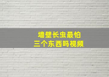 墙壁长虫最怕三个东西吗视频