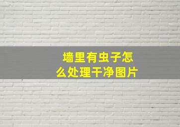 墙里有虫子怎么处理干净图片