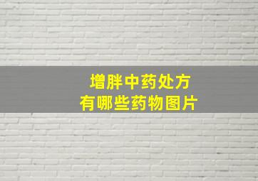 增胖中药处方有哪些药物图片