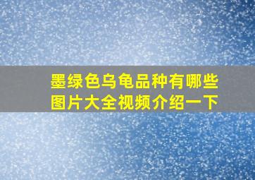 墨绿色乌龟品种有哪些图片大全视频介绍一下