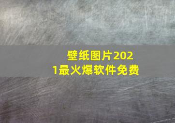 壁纸图片2021最火爆软件免费