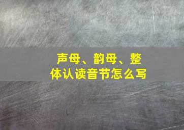 声母、韵母、整体认读音节怎么写