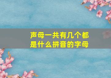 声母一共有几个都是什么拼音的字母