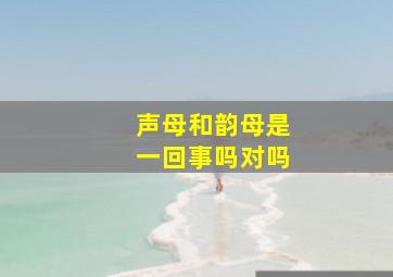 声母和韵母是一回事吗对吗