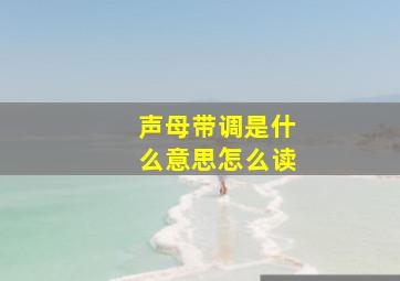 声母带调是什么意思怎么读