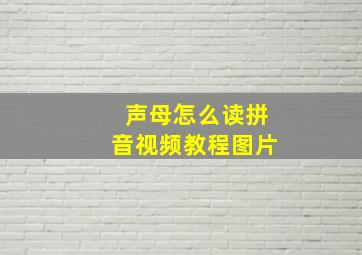 声母怎么读拼音视频教程图片