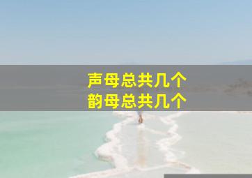 声母总共几个韵母总共几个