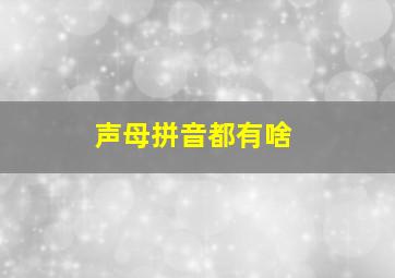 声母拼音都有啥