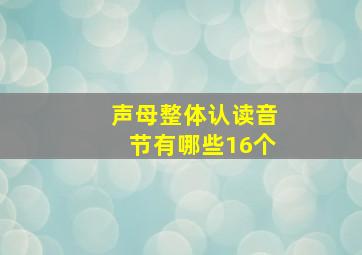 声母整体认读音节有哪些16个