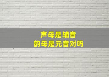 声母是辅音 韵母是元音对吗