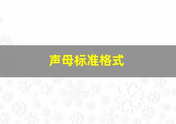 声母标准格式