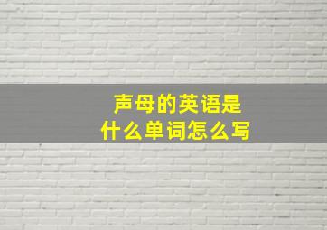 声母的英语是什么单词怎么写