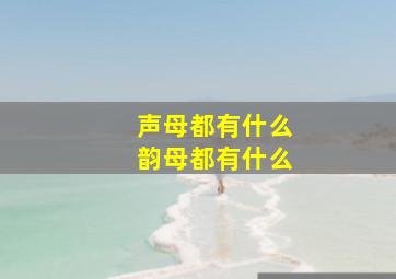 声母都有什么韵母都有什么