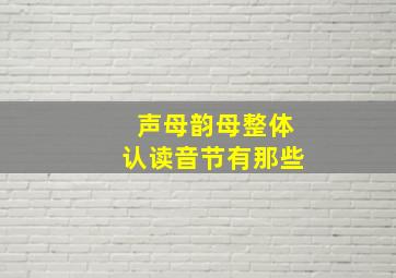 声母韵母整体认读音节有那些