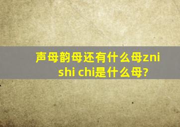 声母韵母还有什么母zni shi chi是什么母?