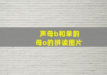 声母b和单韵母o的拼读图片